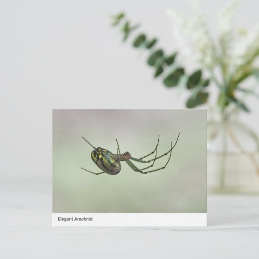 Elegant Arachnid - Artistic Weaver Postc Postkarte (Stehend Vorderseite)