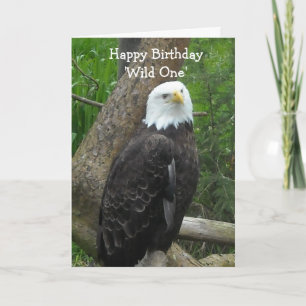 Elegant Bald Eagle Karte