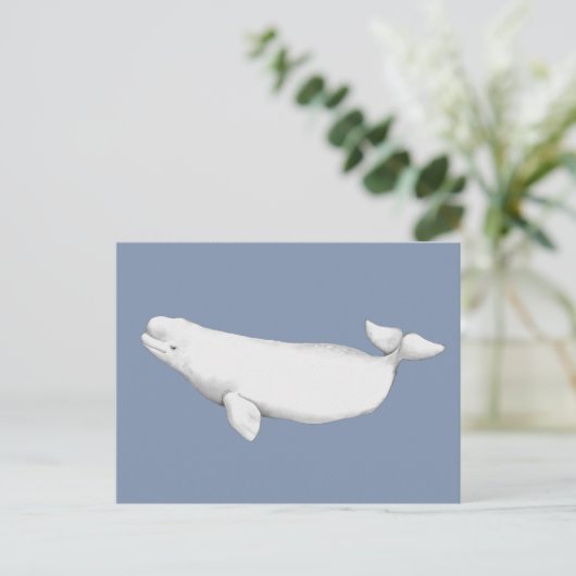 Elegant Beluga Whale Book Illustration Postkarte (Stehend Vorderseite)