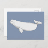 Elegant Beluga Whale Book Illustration Postkarte (Vorne/Hinten)