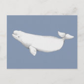 Elegant Beluga Whale Book Illustration Postkarte (Vorderseite)