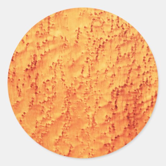 Elegant Bird's Eye Maple Holzkörner Muster Runder Aufkleber (Vorderseite)