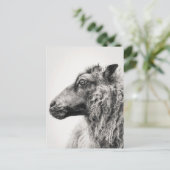Elegant Black and White Sheep Profile Postcard Postkarte (Stehend Vorderseite)