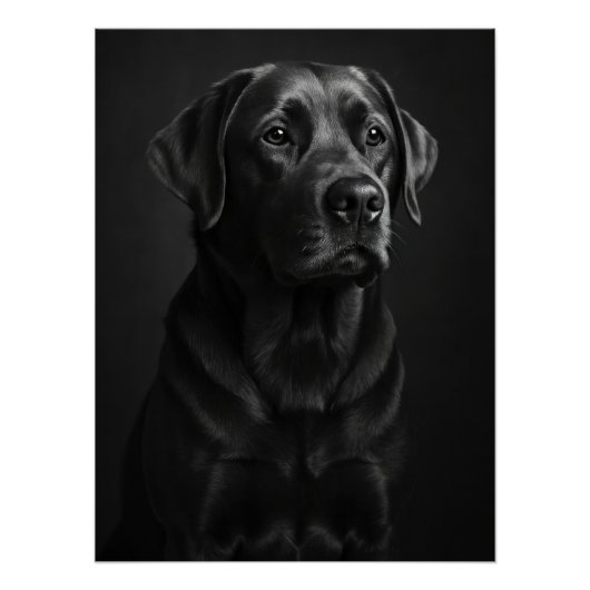 Elegant Black Labrador Portrait - Monochrome Dog Poster (Vorderseite)