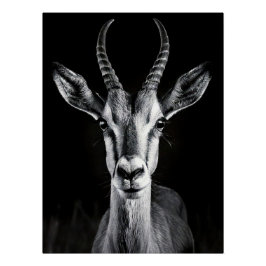 Elegant Black & White Gazelle Fine Art Photo Poster
