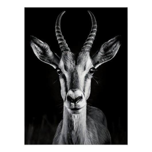Elegant Black & White Gazelle Fine Art Photo Poster (Vorderseite)