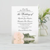 Elegant, blass, orange oder Peach Rose Feierliche  Einladung (Stehend Vorderseite)