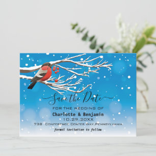 Elegant Blau & Roter Vogel Schnee Save The Date