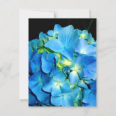 Elegant blaue aquamarine Hydrangeas blauer Rose Dankeskarte (Rückseite)