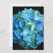 Elegant blaue aquamarine Hydrangeas blauer Rose Einladung (Rückseite)