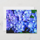 Elegant blaue lila Blumenhydrangeas Dankeskarte (Rückseite)