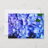 Elegant blaue lila Blumenhydrangeas Save The Date (Rückseite)