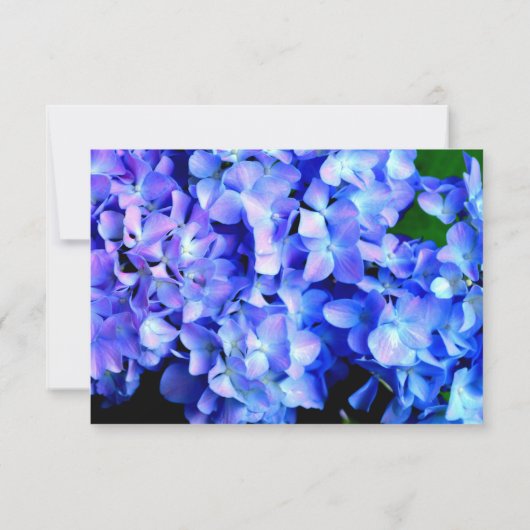 Elegant blaue lila Blumenhydrangeas Save The Date (Rückseite)