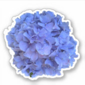 Elegant Blauer Korallenblumen Aufkleber (Vorderseite)