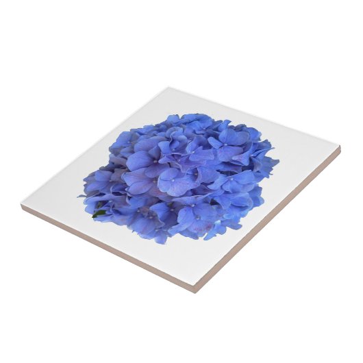 Elegant Blauer Korallenblumen Fliese (Seite)