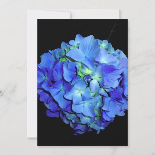 Elegant bläulich blühende Rose Blaue Hydrangeas Einladung (Vorderseite)