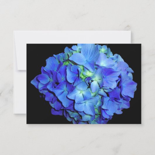 Elegant bläulich blühende Rose Blaue Hydrangeas Save The Date (Rückseite)