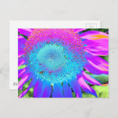 Elegant Blaurosa lila Retro-Sonnenblume Postkarte (Vorne/Hinten)