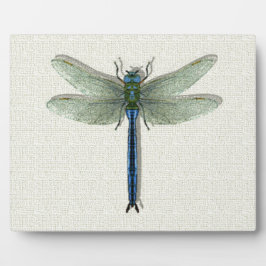 Elegant Blue Dragonfly Fotoplatte