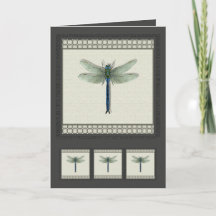 Elegant Blue Dragonfly