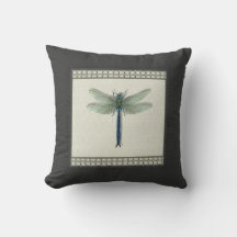 Elegant Blue Dragonfly