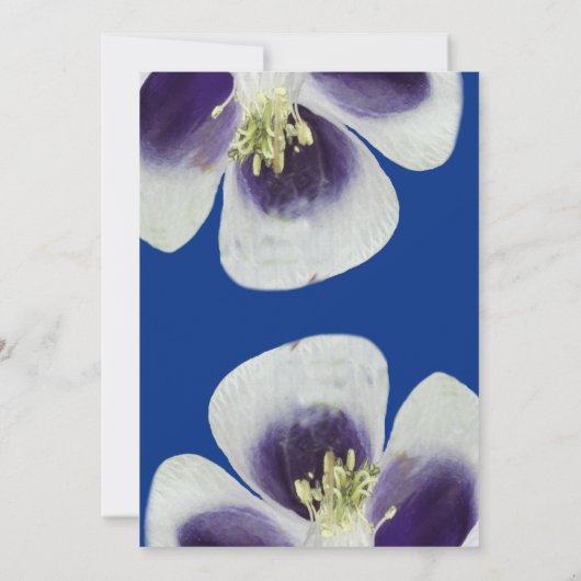 Elegant Blue Floral UAWG Foto Card, Script Einladung (Rückseite)