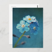 Elegant Blue Flowers Vergiss mich nicht Postkarte (Vorne/Hinten)