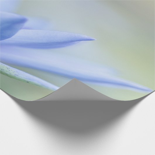 Elegant Blue Lotus Geschenkpapier (Ecke)