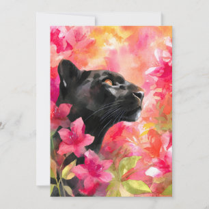Elegant blühende Wildblume Schwarzer Panther Ankündigung