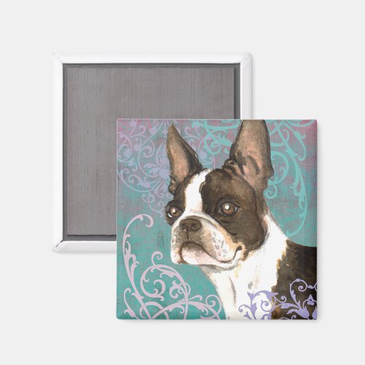 Elegant Boston Terrier Magnet (Vorderseite/Rückseite)