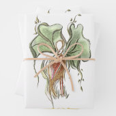 Elegant Botanical Bird Geschenkpapier Set (Beispiel)