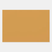 Elegant Burnt Orange Rust Cream Floral Geschenkpapier Set (Vorderseite 2)