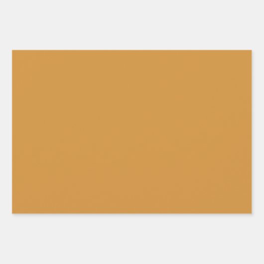 Elegant Burnt Orange Rust Cream Floral Geschenkpapier Set (Vorderseite 2)