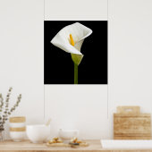Elegant Cala Lily Poster (Küche)