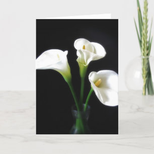 Elegant Calla Lily Blume 10 Karte