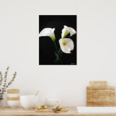 Elegant Calla Lily Blume 12 Poster (Küche)
