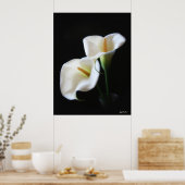 Elegant Calla Lily Blume 13 Poster (Küche)