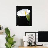 Elegant Calla Lily Blume 15 Poster (Heimbüro)