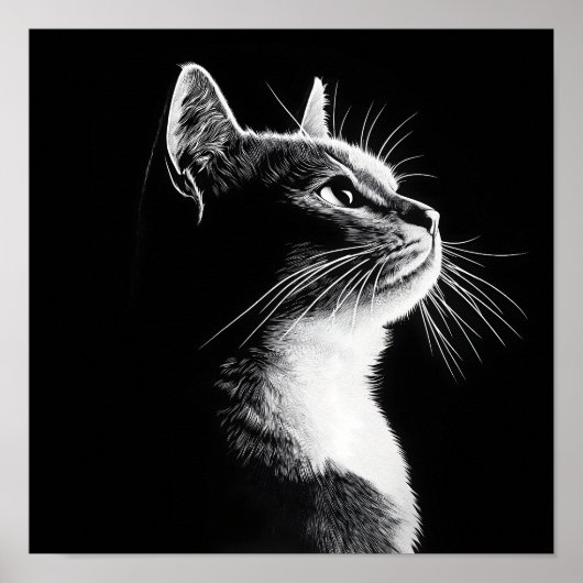 Elegant Cat Poster (Vorne)