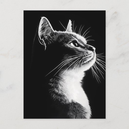 Elegant Cat Postkarte (Vorderseite)