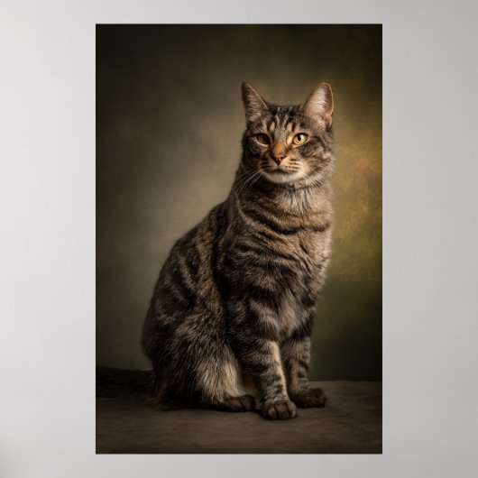 Elegant Cat Studio Portrait Poster (Vorne)