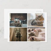 ELEGANT CATS POSTCARD POSTKARTE (Vorne/Hinten)