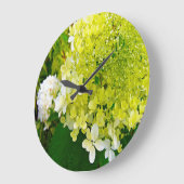 Elegant Chartreuse Green Limelight Hydrangea Große Wanduhr (Winkel)