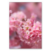 Elegant Cherry Blossom Blumenfotografie Hochzeit Tischnummer (Rückseite)