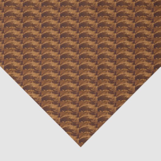 Elegant Chic Copper Brown Festival Seidenpapier (Ausschnitt)