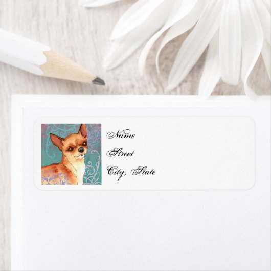 Elegant Chihuahua (Insitu)