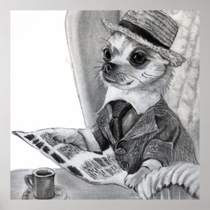 Elegant chihuahua liest Zeitung Poster
