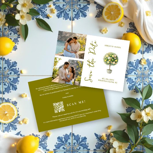 Elegant Citrus Mediterranean Topiary 2-Photo Save The Date