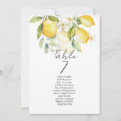 Elegant citrus table number seating chart cards (Vorderseite)