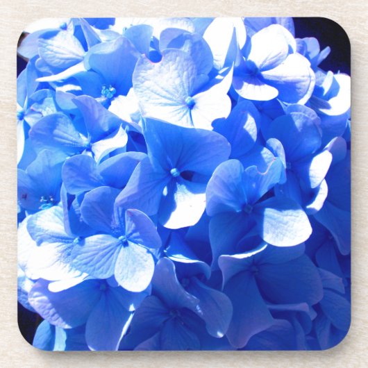Elegant Cobalt Blau Blumen elegante Hydrangeas Getränkeuntersetzer (Vorderseite)